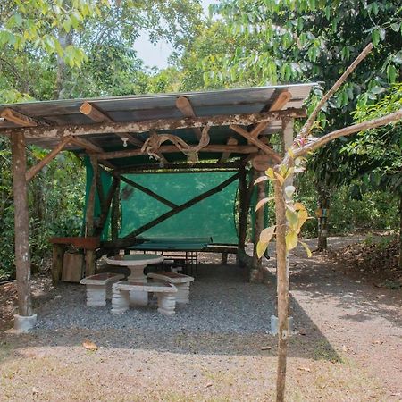 Tree Houses Hotel Costa Rica Florencia 외부 사진