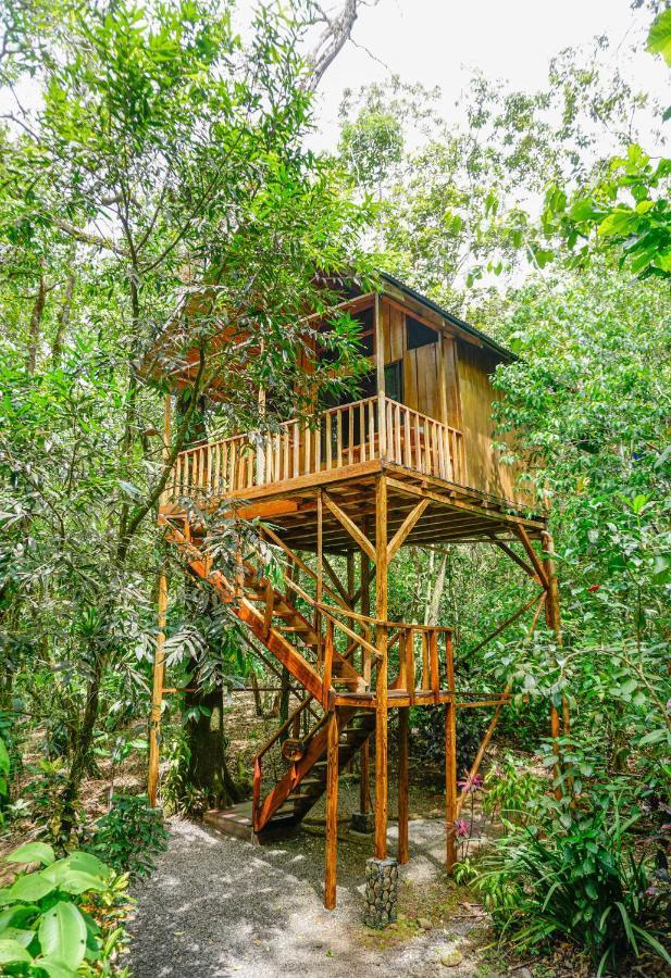 Tree Houses Hotel Costa Rica Florencia 외부 사진