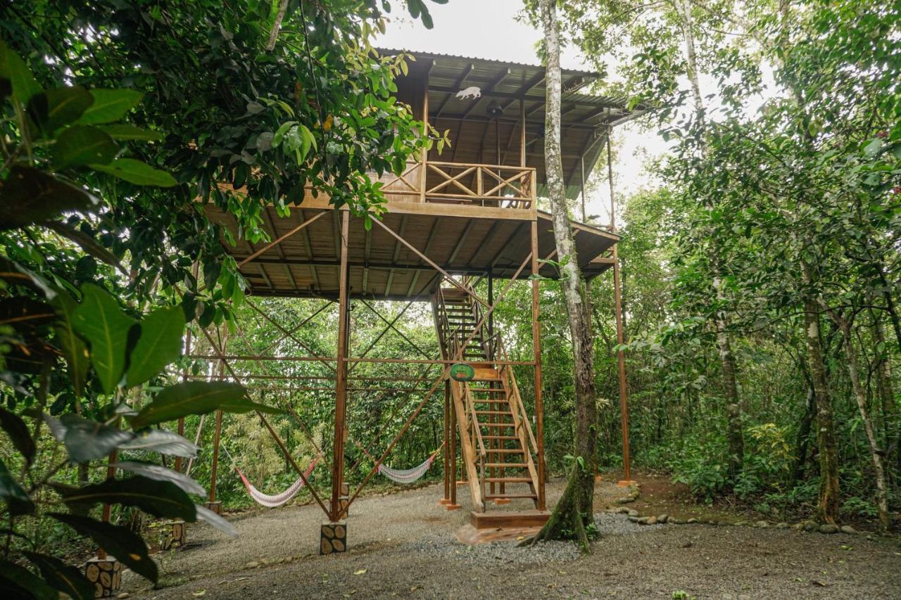 Tree Houses Hotel Costa Rica Florencia 외부 사진