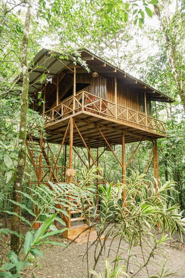 Tree Houses Hotel Costa Rica Florencia 외부 사진