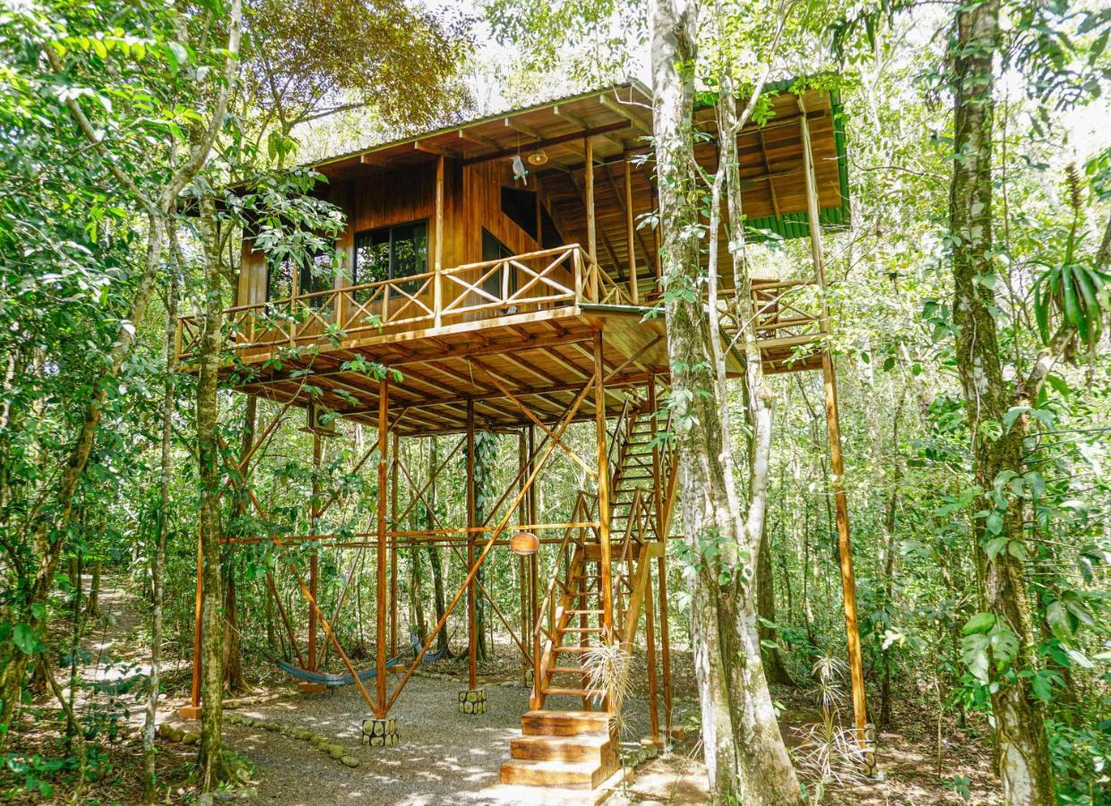 Tree Houses Hotel Costa Rica Florencia 외부 사진