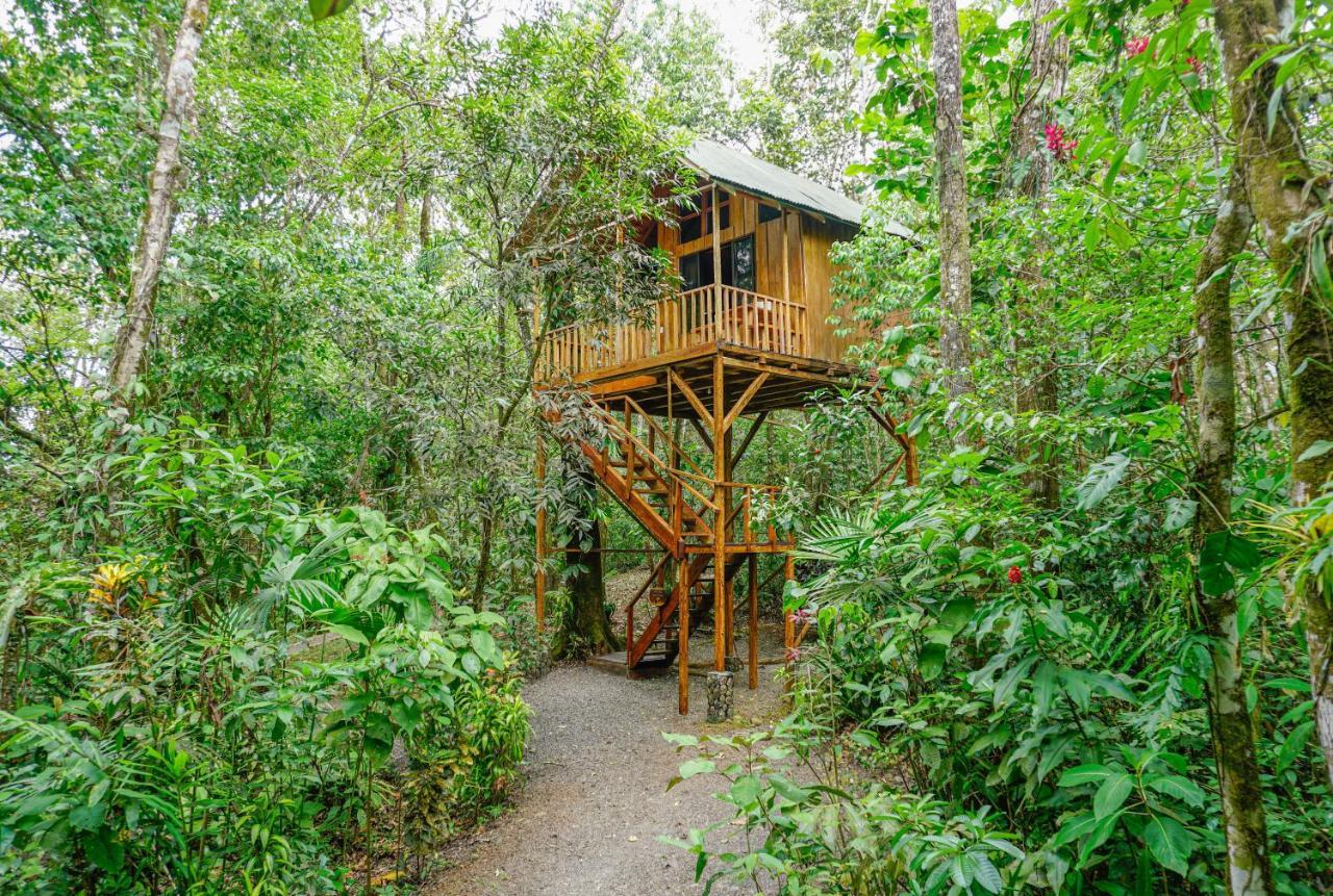 Tree Houses Hotel Costa Rica Florencia 외부 사진