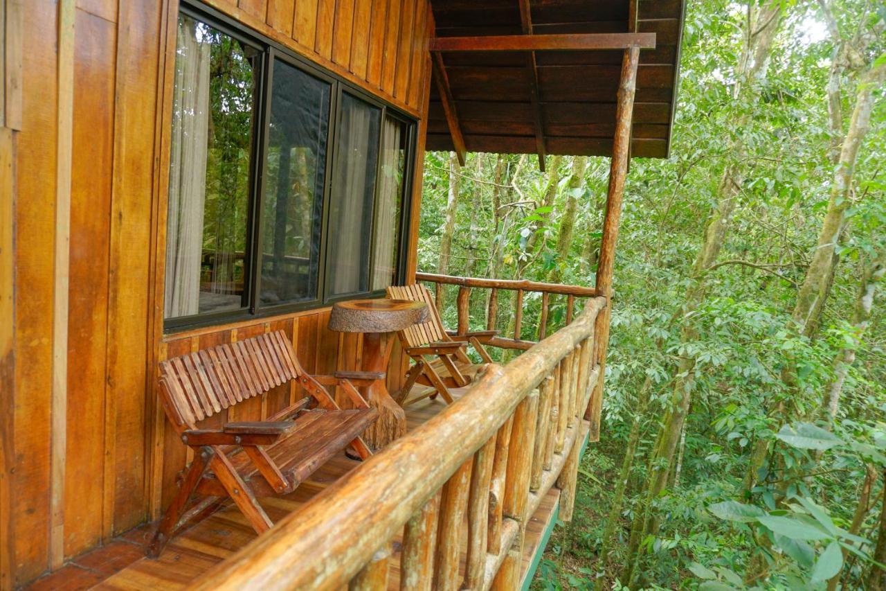 Tree Houses Hotel Costa Rica Florencia 외부 사진