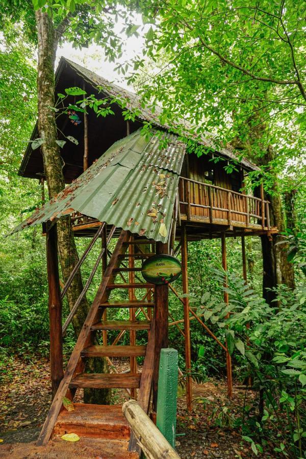 Tree Houses Hotel Costa Rica Florencia 외부 사진