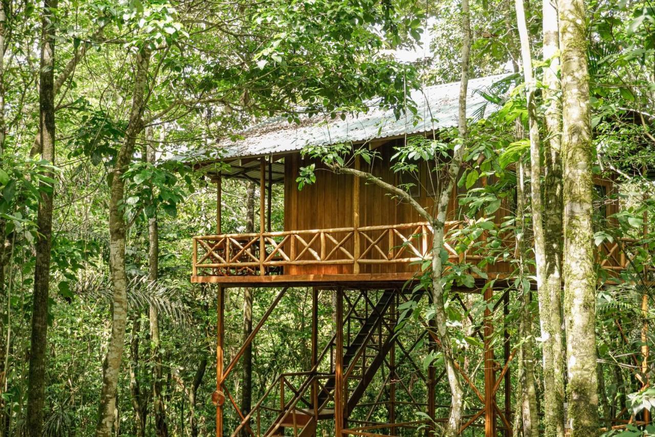 Tree Houses Hotel Costa Rica Florencia 외부 사진