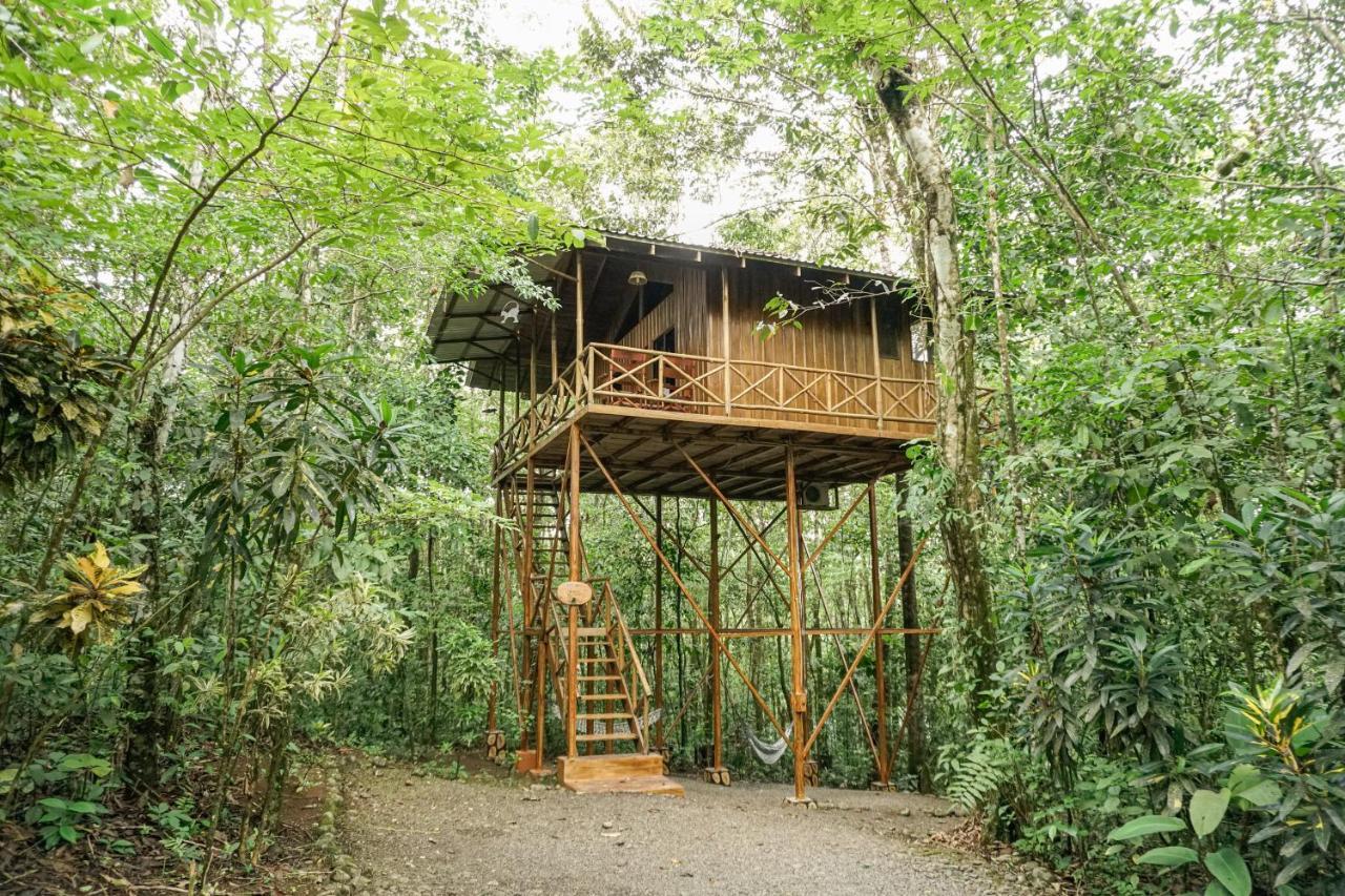 Tree Houses Hotel Costa Rica Florencia 외부 사진