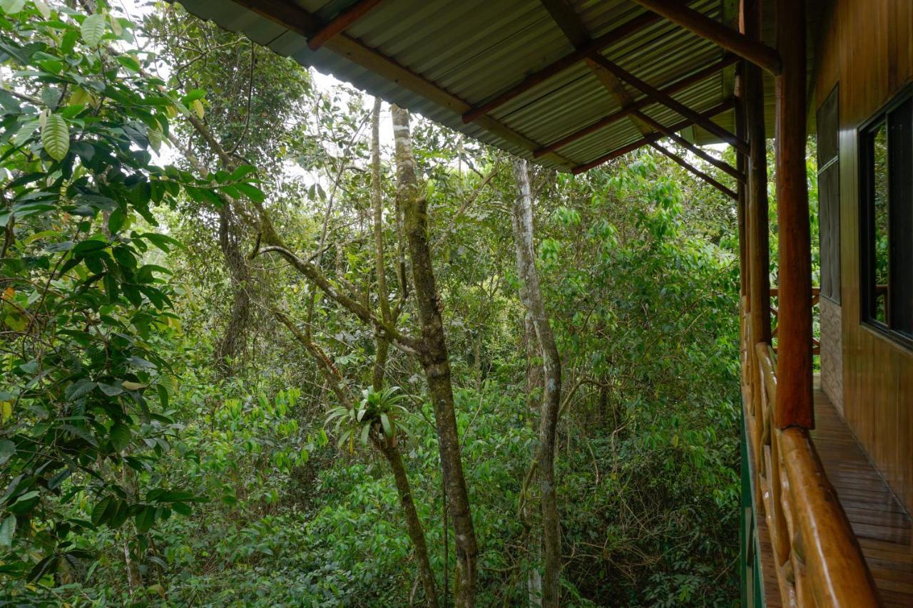 Tree Houses Hotel Costa Rica Florencia 외부 사진