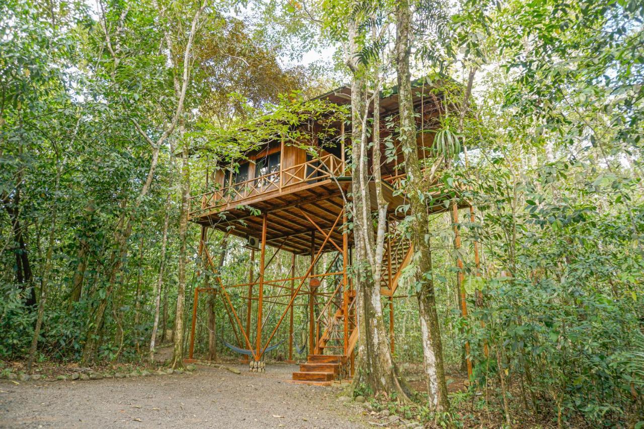 Tree Houses Hotel Costa Rica Florencia 외부 사진