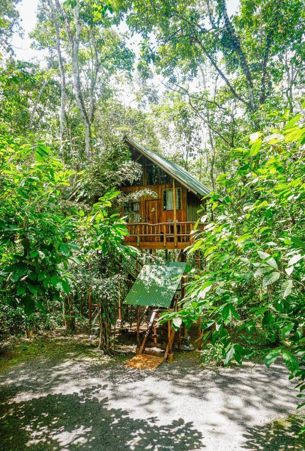 Tree Houses Hotel Costa Rica Florencia 외부 사진