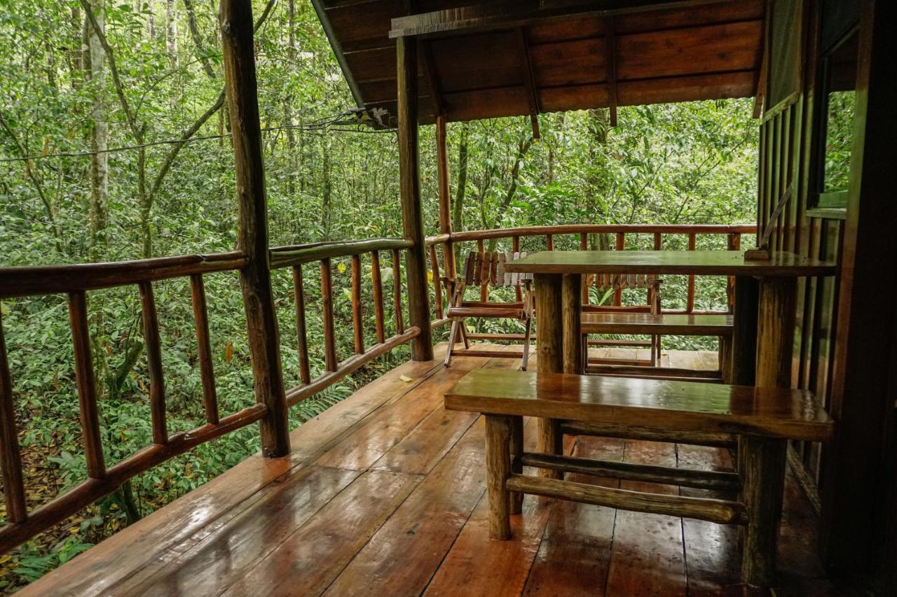 Tree Houses Hotel Costa Rica Florencia 외부 사진