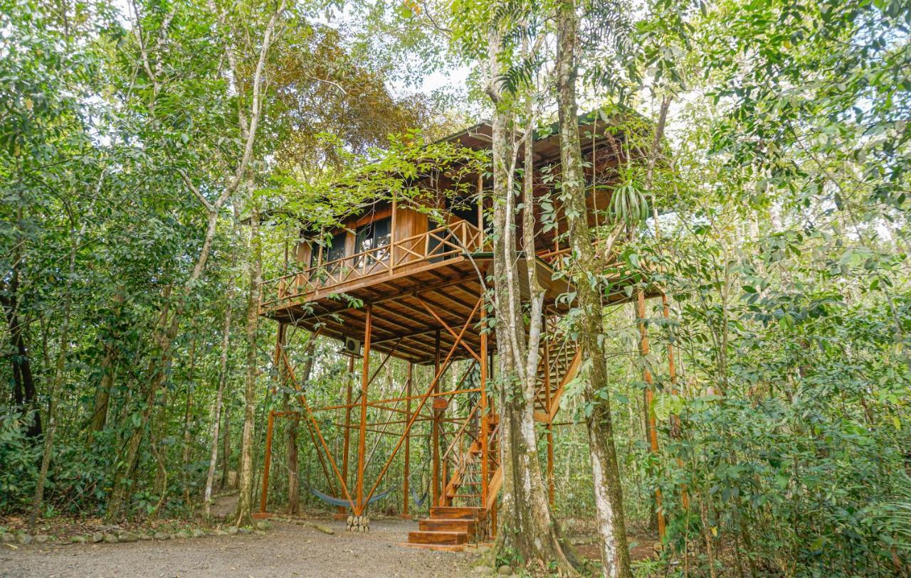 Tree Houses Hotel Costa Rica Florencia 외부 사진