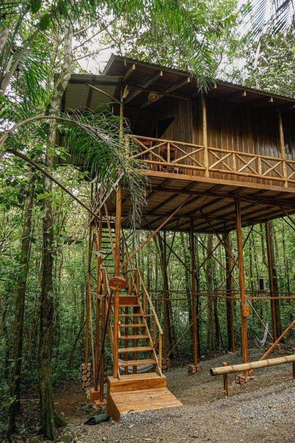 Tree Houses Hotel Costa Rica Florencia 외부 사진