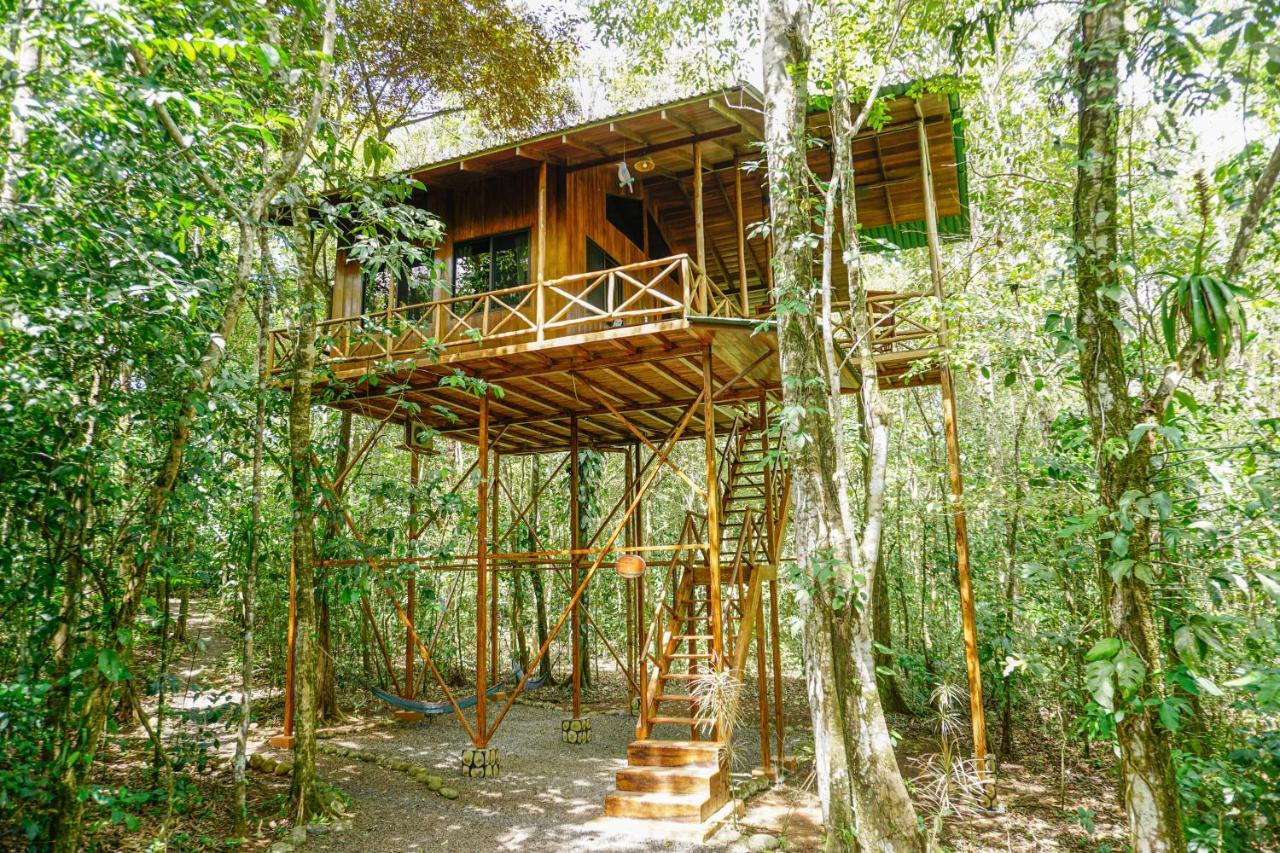 Tree Houses Hotel Costa Rica Florencia 외부 사진
