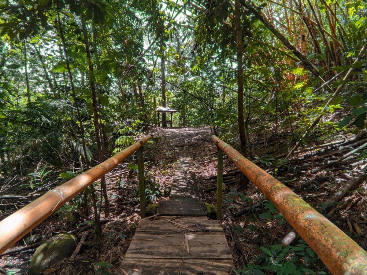 Tree Houses Hotel Costa Rica Florencia 외부 사진