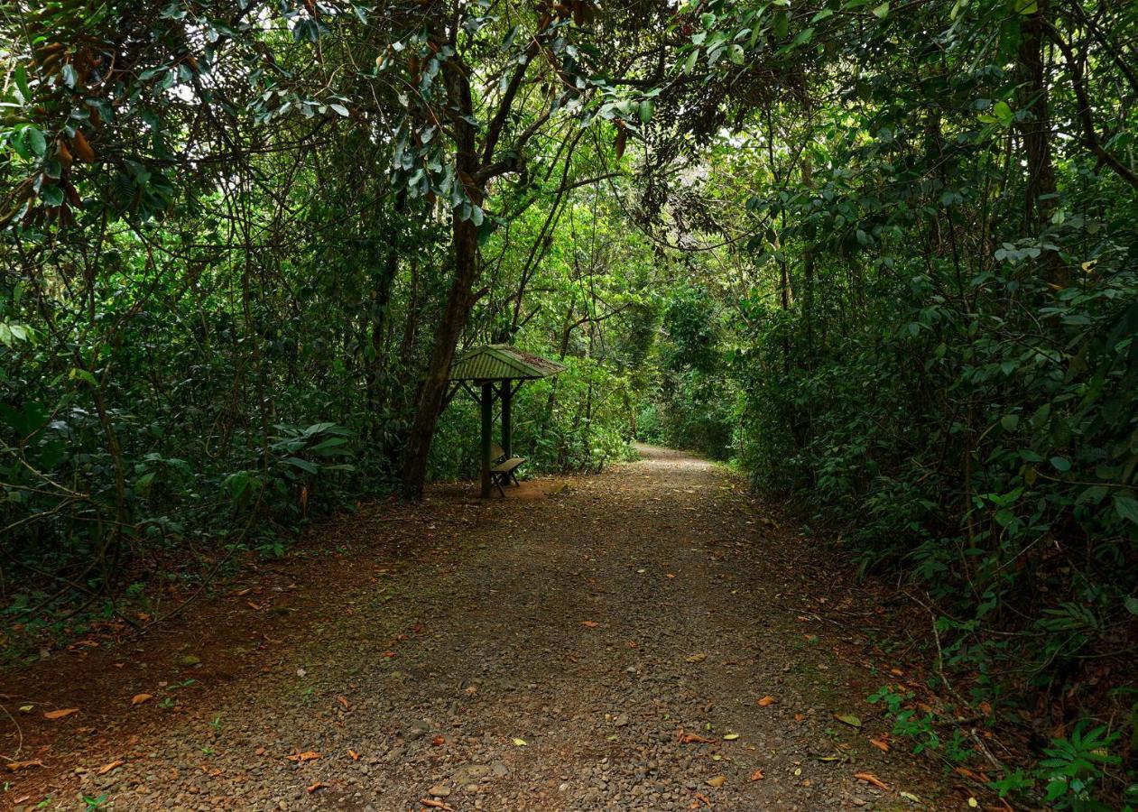 Tree Houses Hotel Costa Rica Florencia 외부 사진
