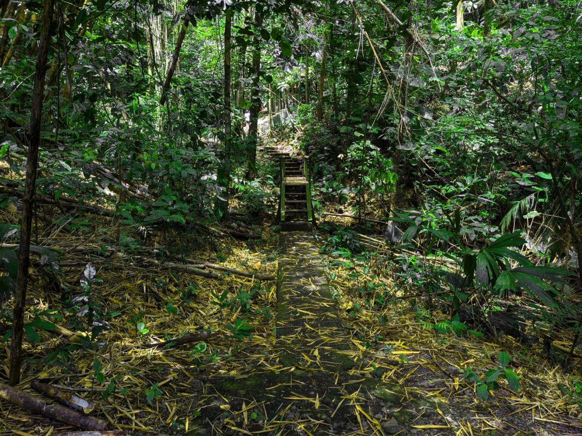 Tree Houses Hotel Costa Rica Florencia 외부 사진