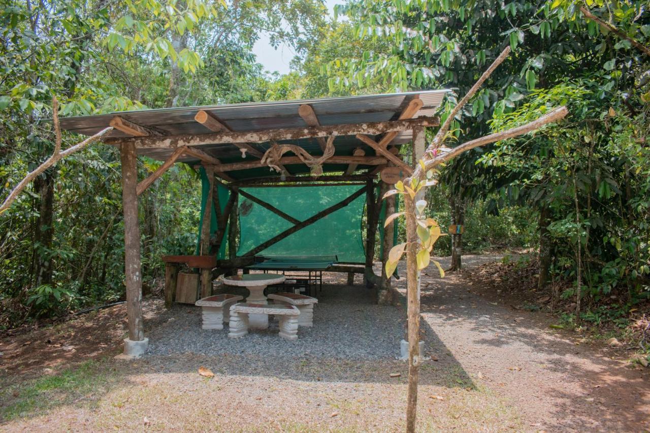 Tree Houses Hotel Costa Rica Florencia 외부 사진
